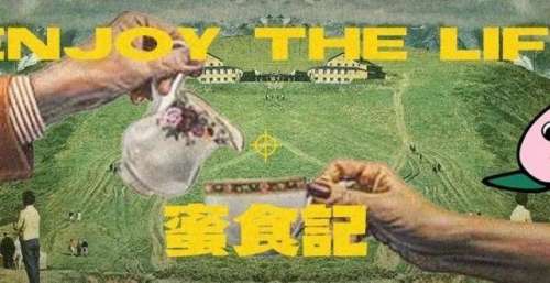 安徽卫视是不是节目整活之王