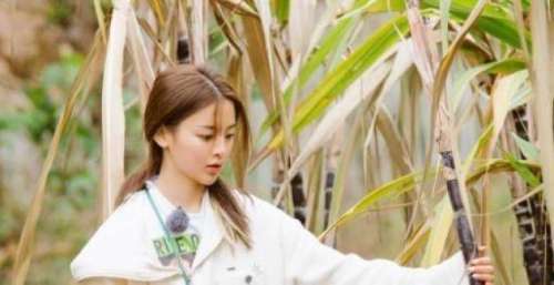 杨超越低调回乡为父亲庆生，直言吃席比走红毯要紧张