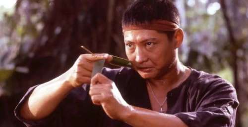 在1987年，洪金宝大胆尝试，拍摄了一部当年没人敢碰的题材电影