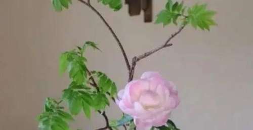 电影小说经典抄录