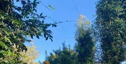 冯提莫为曾经相爱的我们献唱！不愧是感情电影，歌曲唱出别留遗憾