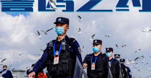 高清组图丨昆明这场警鸥之约 蜀黍从未失约