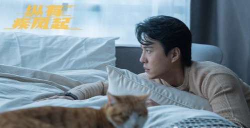 又一部大剧来袭，强势上星北京卫视，女主实力颜值双担当
