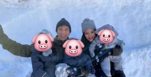李靓蕾放弃起诉王力宏父子！男方暂停工作，过户亿万豪宅当补偿