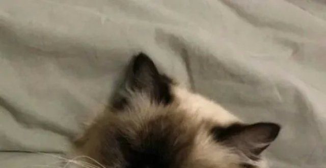 情侣头像｜不是歌变好听了 而是你有故事了