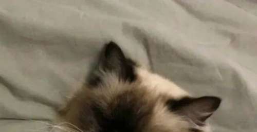 情侣头像｜不是歌变好听了 而是你有故事了