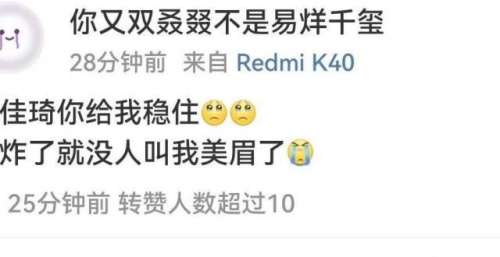 薇娅老公致歉：怪财务不专业！李佳琦粉丝：稳住，不然没人叫我美眉了
