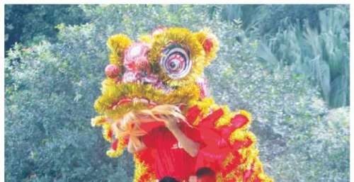 《雄狮少年》掀热潮 南海擦亮南狮文化IP