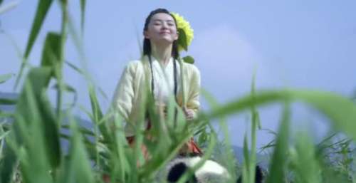 《雪中悍刀行》：王明寅后，又有天下第一杀手登场，敌友难分