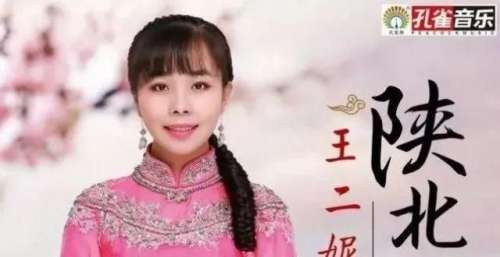 带感够味儿！陕北歌手王二妮一曲《陕北人》，唱出了陕北人的性情与形象！