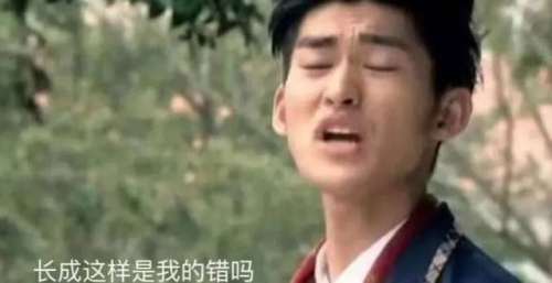 对不起，你长得有些辱华