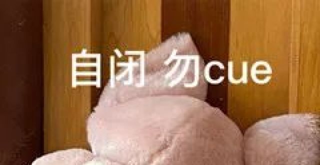 玲娜贝儿｜小本本记下来
