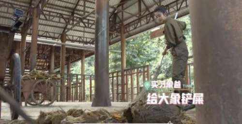 《给你，我的新名片》将播 李冰冰探访亚洲象之旅即将开启