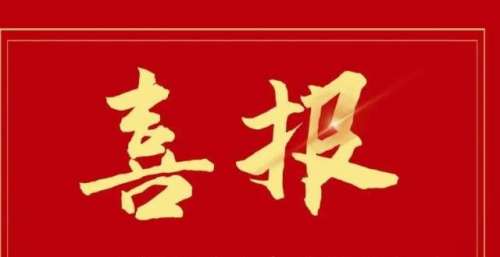 喜报：电影《守岛人》荣获第34届中国电影金鸡奖最佳故事片