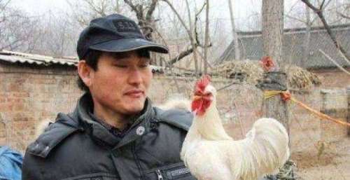 朱之文不简单，一张朴实脸隐藏着多少精明，有多少人真能看透他？
