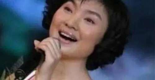 出轨整容医生，转移丈夫财产12亿，“常回家看看”的陈红太狠了