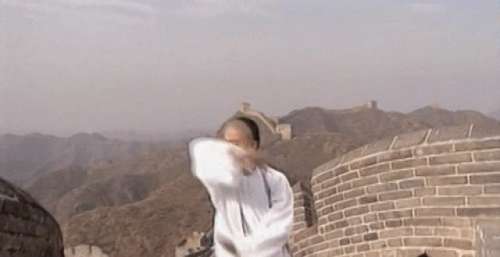 很可惜，我们再也看不到吴京演反派了