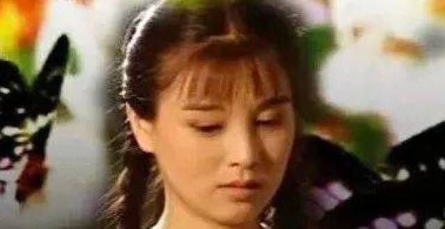 1995电视剧《蝴蝶兰》22集