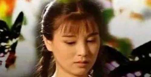 1995电视剧《蝴蝶兰》22集