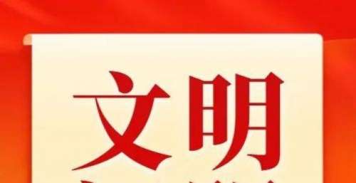 【文明汉阴：第586期】“有你真好” 致敬抗疫英雄