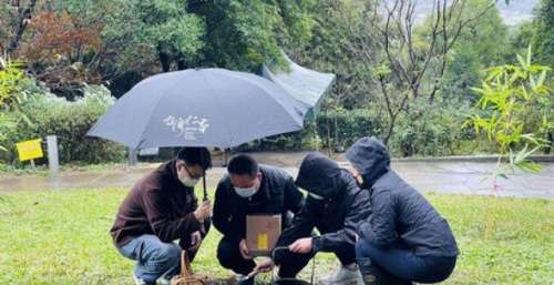 金马影帝陈松勇举行树葬长眠大地，众亲友送最后一程，争遗产的二弟未现身