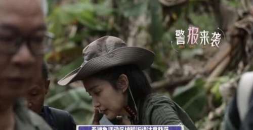 《给你，我的新名片》李冰冰季第四期将深入雨林开启寻象之旅