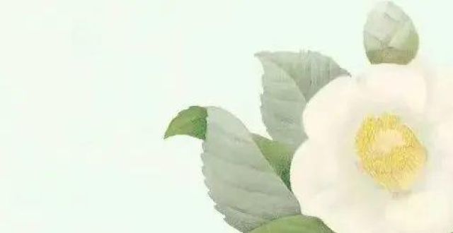 王源ROYRADIO丨盼夏野，等花开