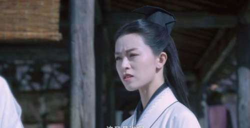 雪中悍刀行：徐渭熊初见赵宣素，为何将他踢进江里？徐凤年真相了