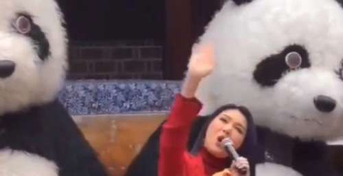 47岁杨千嬅现身四川录，腰间赘肉超抢镜，被网友封水桶嬅