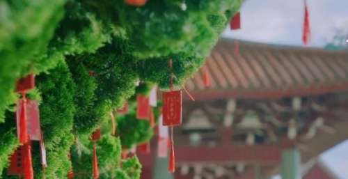 国台办：《我们同唱一首歌》是送给两岸同胞的新年礼物