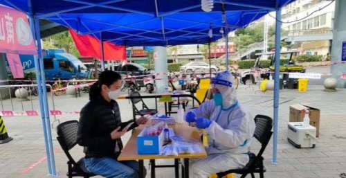 袁咏仪在深圳核酸检测点做志愿者，维持秩序忙前忙后，模样接地气