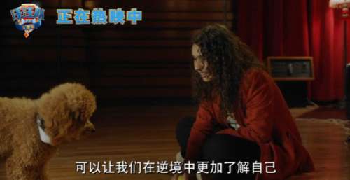 狗狗们勇敢战胜挑战 寒假必看《汪汪队立大功大电影》全国热映