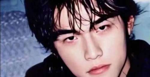 娱乐圈最后一个没塌房的男明星，今晚为他刷屏