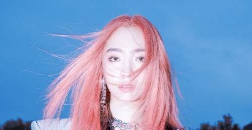 《我心飞扬》低调撤档！孟美岐粉丝依然表示期待，网友却正好相反
