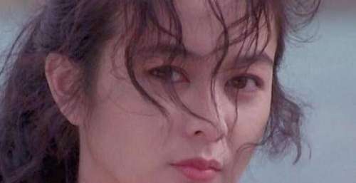 向太陈岚晚年的烦心事：大儿子向佐的婚姻不让她省心，小儿子又身陷囹圄