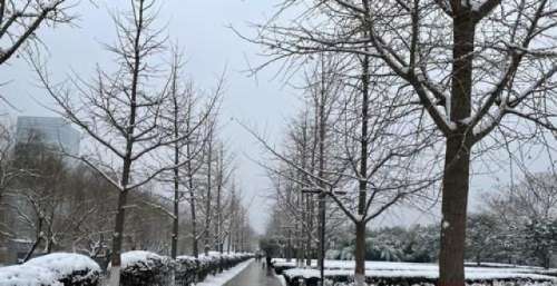 迎战暴雪｜郑州“两河一渠”开展“破冰行动”，清冰除雪恢复河区秩序