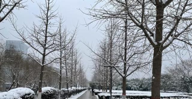 迎战暴雪|郑州“两河一渠”开展“破冰行动”,清冰除雪恢复河区秩序