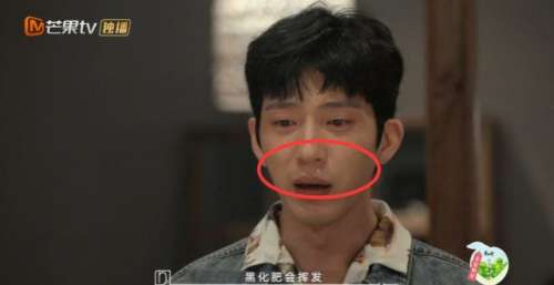 《朋友请听好2》首播，井柏然成搞笑担当，谢娜登热搜被骂太无辜