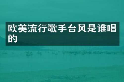 欧美流行歌手台风是谁唱的