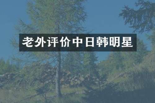 老外评价中日韩明星