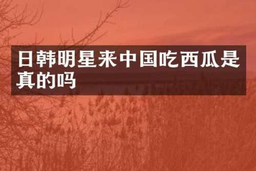 日韩明星来中国吃西瓜是真的吗