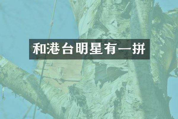 和港台明星有一拼