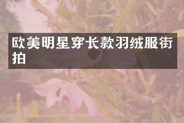 欧美明星穿长款羽绒服街拍