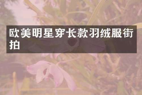欧美明星穿长款羽绒服街拍