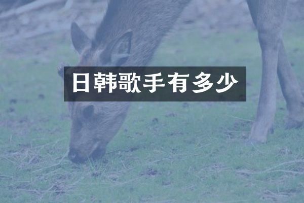 日韩歌手有多少