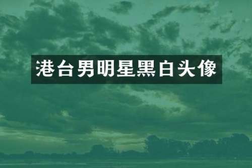 港台男明星黑白头像
