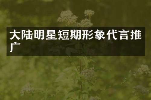大陆明星短期形象代言推广