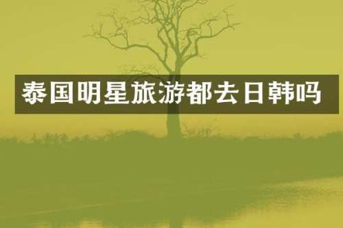 泰国明星旅游都去日韩吗