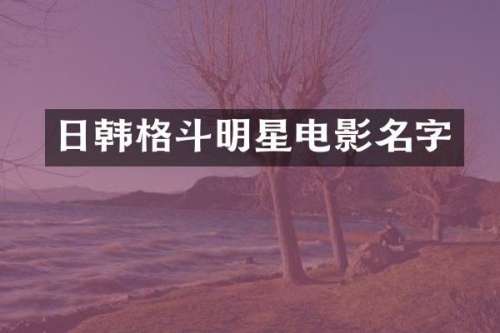 日韩格斗明星电影名字
