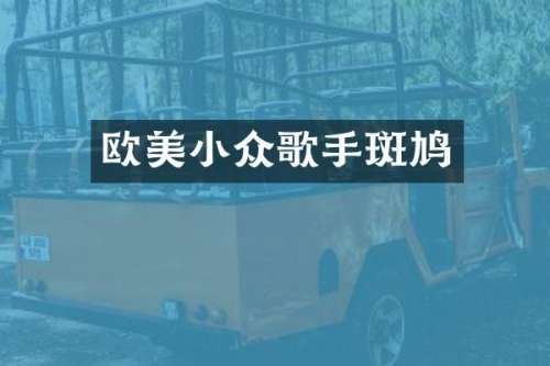欧美小众歌手斑鸠